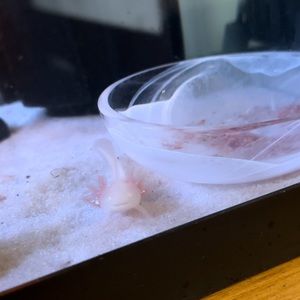 Meet your Posher, Kirstyn